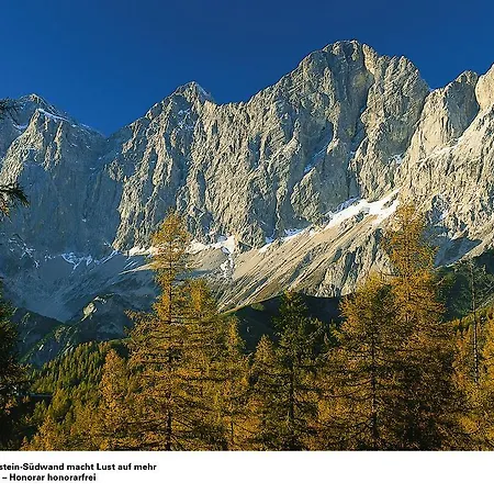 Apartment Appartementhaus Evelyn Schladming