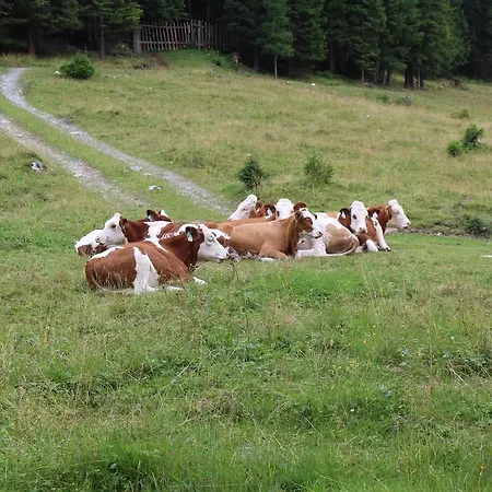 Appartementhaus Evelyn