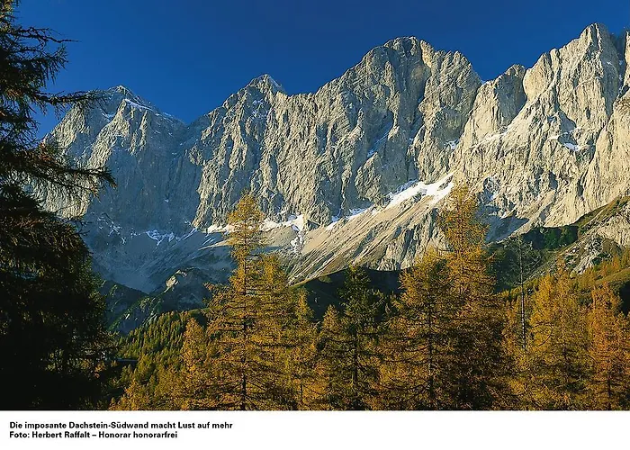 Lejlighed Appartementhaus Evelyn Schladming