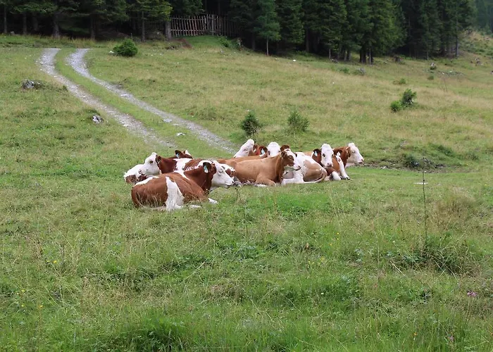 Appartementhaus Evelyn